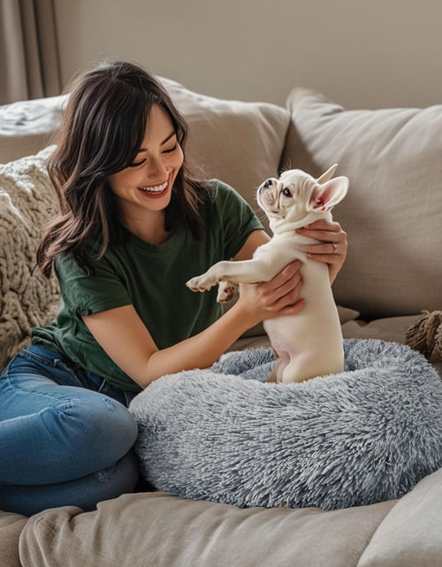 Load image into Gallery viewer, Dog &amp; Cat Bed, 20In Cat Beds for Indoor Cats, Calming Donut Bed for Puppy and Kitten, Washable round Fluffy Pet Bed for Small Medium Dogs and Cats (Light Grey)
