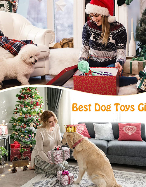 Load image into Gallery viewer, Squeaky Dog Toys for Large Dogs: Plush Dog Toys with Soft Fabric - Pet Toys for Small, Medium, and Large Dogs - Puppy Toys to Keep Them Busy
