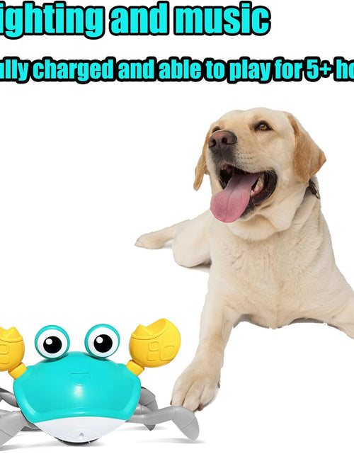 Load image into Gallery viewer, Crawling Crab Dog Toys,Escaping Crab Dog Toy with Obstacle Avoidance Sensor,Interactive Dog Toys with Music Sounds &amp; Lights for Dogs Cats Pets,Christmas Toy Gifts for Puppy/Small/Medium Dogs
