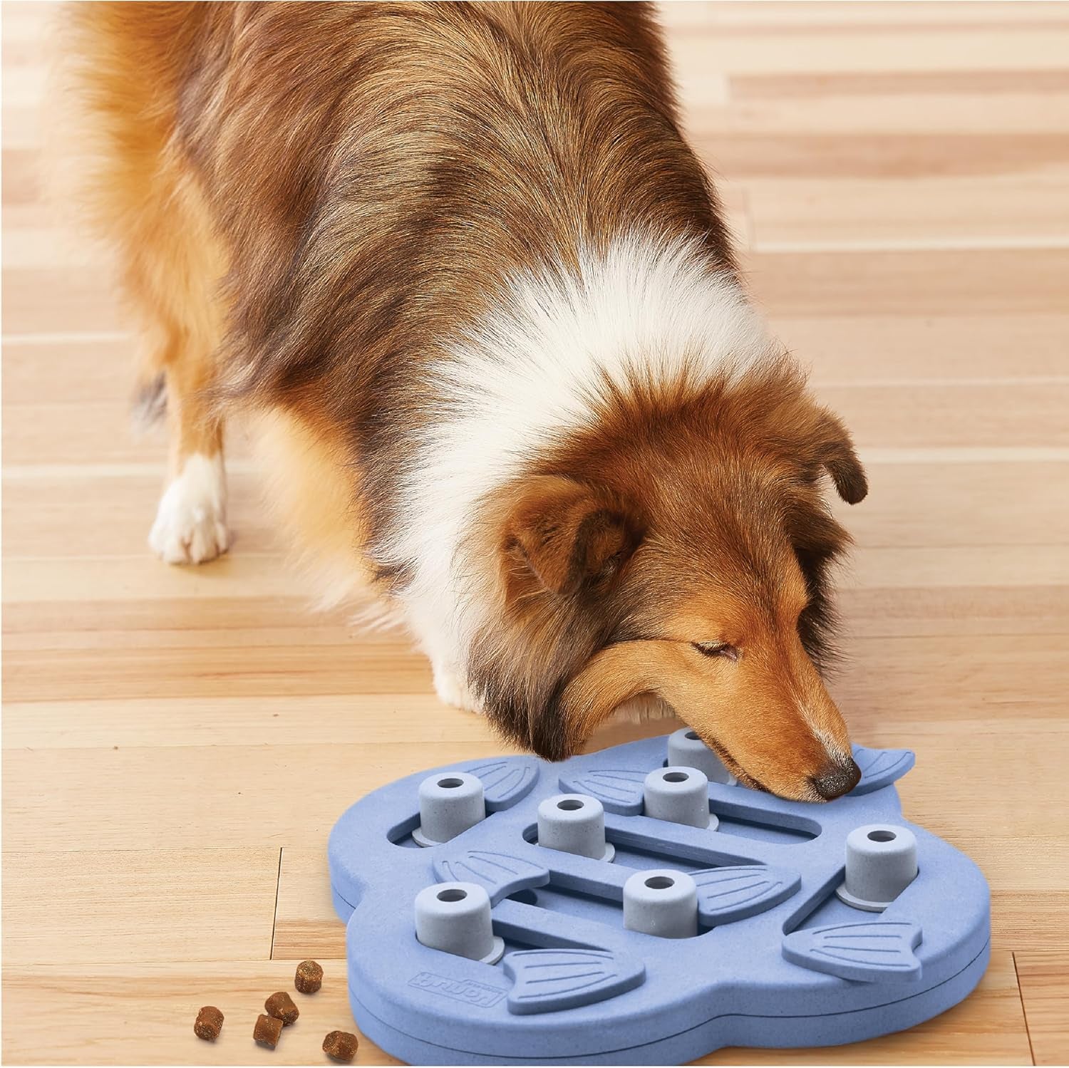 by Nina Ottosson Dog Hide N' Slide Treat Puzzle Enrichment Toy, Level 2 Intermediate, Purple, Composite