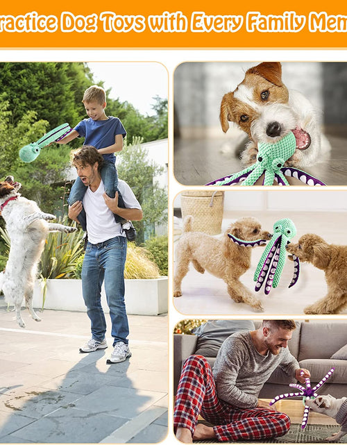 Load image into Gallery viewer, Squeaky Dog Toys for Large Dogs: Plush Dog Toys with Soft Fabric - Pet Toys for Small, Medium, and Large Dogs - Puppy Toys to Keep Them Busy
