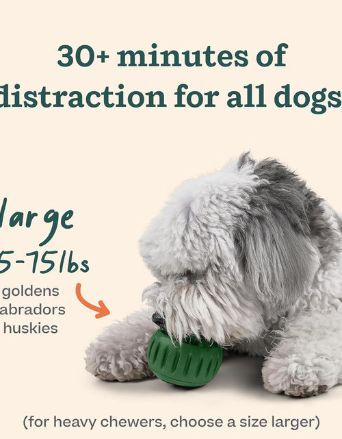 Load image into Gallery viewer, Pupsicle - Long-Lasting Interactive Dog Toy to Keep Your Pup Distracted - Safe for Dogs - Low-Mess Design - Dog Toys for Large Dogs 25-75 Lbs
