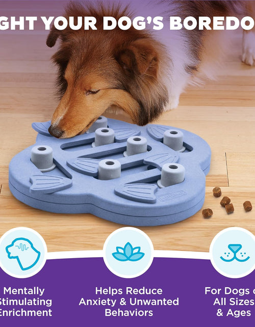 Load image into Gallery viewer, by Nina Ottosson Dog Hide N&#39; Slide Treat Puzzle Enrichment Toy, Level 2 Intermediate, Purple, Composite
