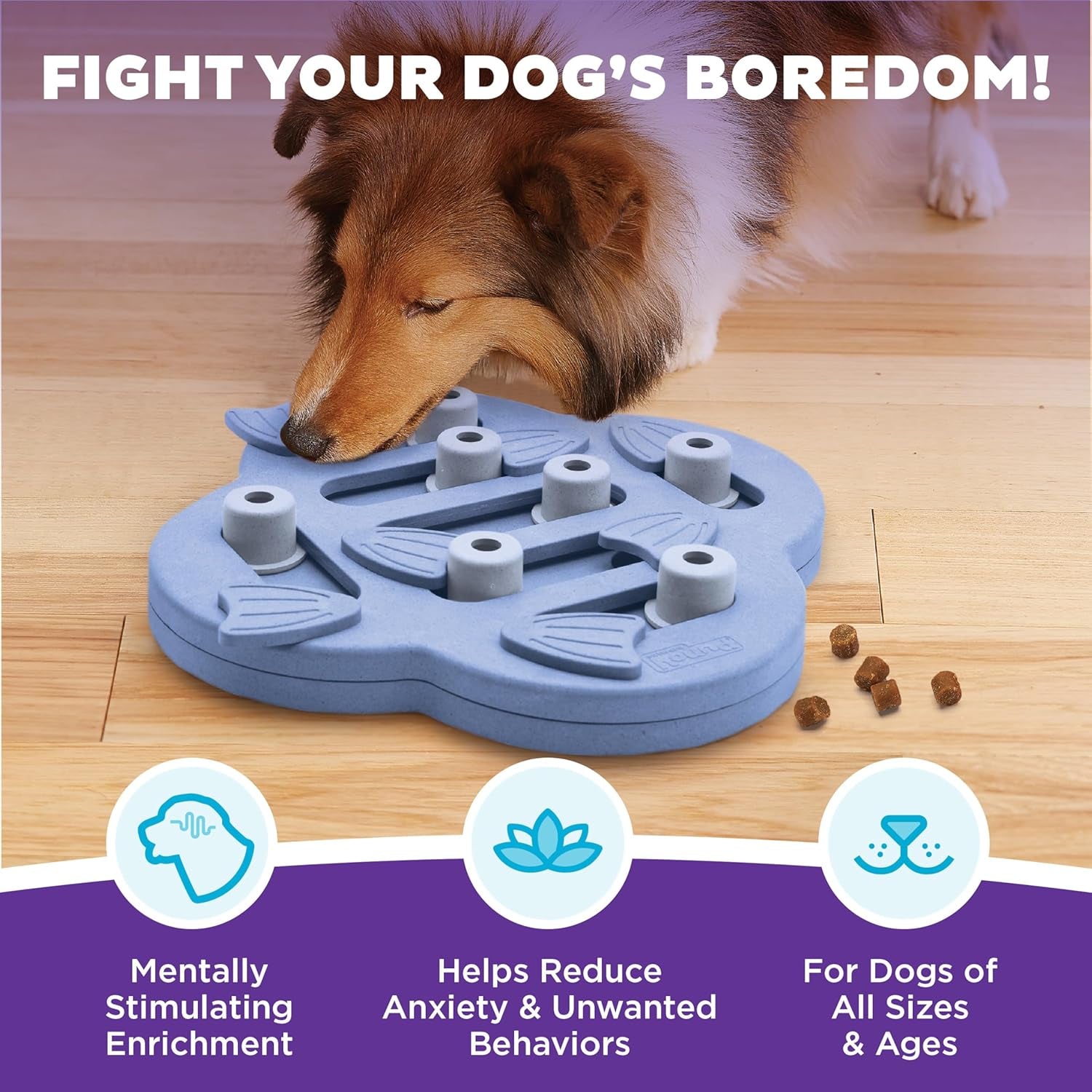 by Nina Ottosson Dog Hide N' Slide Treat Puzzle Enrichment Toy, Level 2 Intermediate, Purple, Composite