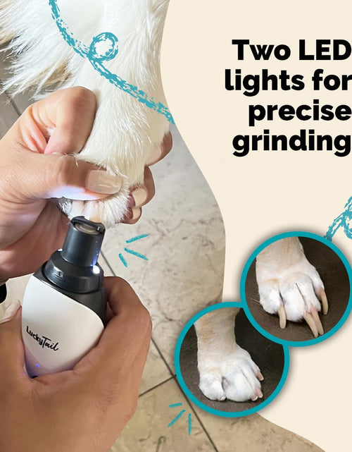 Load image into Gallery viewer, Luckytail Pet Nail Grinder for Dogs and Cats - Super Quiet and Low Vibration Electric Dog Nail Grinder with 2 LED Lights - USB Rechargeable and Cordless - 2 Speeds - Small to Large Pets
