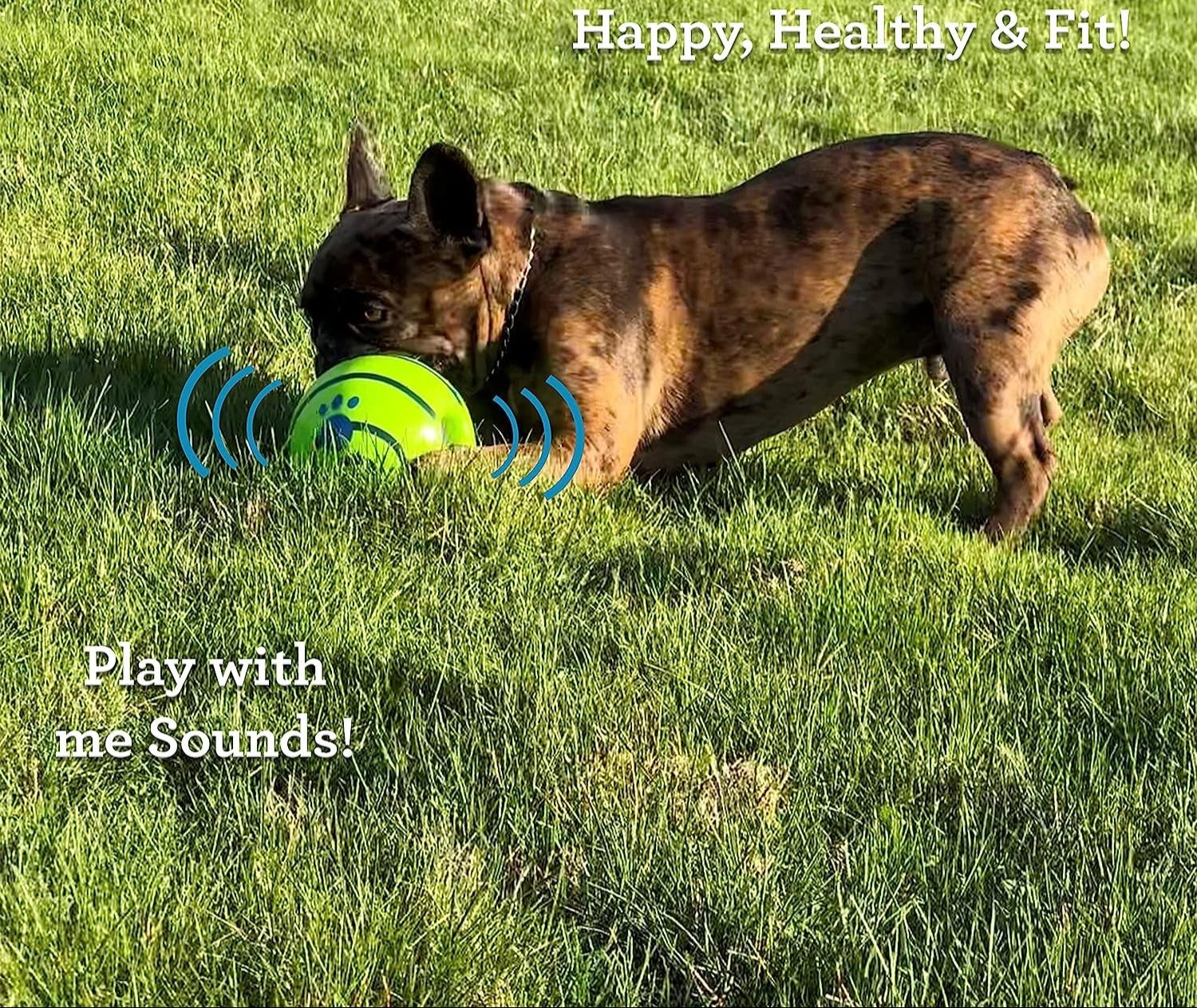 Ball, Interactive Dog Toy, Fun Giggle Sounds When Rolled or Shaken, Pets Know Best, as Seen on TV