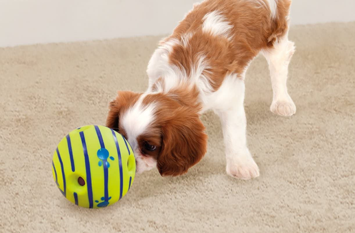 Ball, Interactive Dog Toy, Fun Giggle Sounds When Rolled or Shaken, Pets Know Best, as Seen on TV