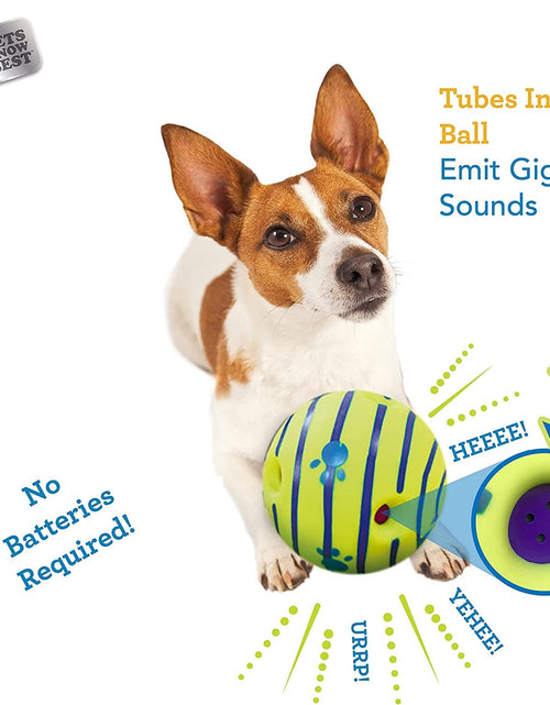 Load image into Gallery viewer, Ball, Interactive Dog Toy, Fun Giggle Sounds When Rolled or Shaken, Pets Know Best, as Seen on TV
