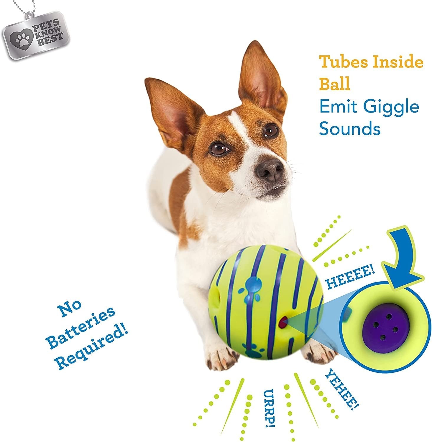 Ball, Interactive Dog Toy, Fun Giggle Sounds When Rolled or Shaken, Pets Know Best, as Seen on TV