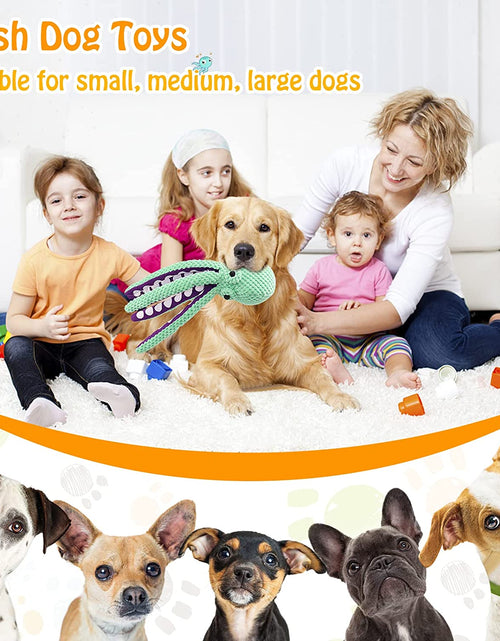 Load image into Gallery viewer, Squeaky Dog Toys for Large Dogs: Plush Dog Toys with Soft Fabric - Pet Toys for Small, Medium, and Large Dogs - Puppy Toys to Keep Them Busy
