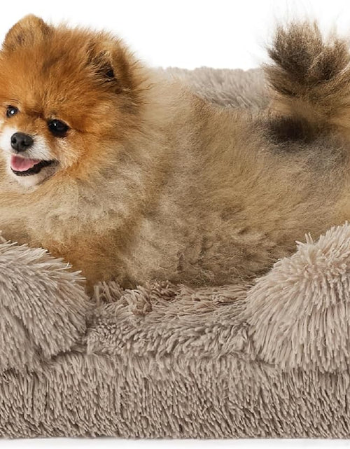 Load image into Gallery viewer, Small Orthopedic Dog Bed - Washable Calming Dog Sofa Beds for Small Dogs, Supportive Foam Pet Couch Bed with Removable Washable Cover, Waterproof Lining and Nonskid Bottom Couch, Taupe
