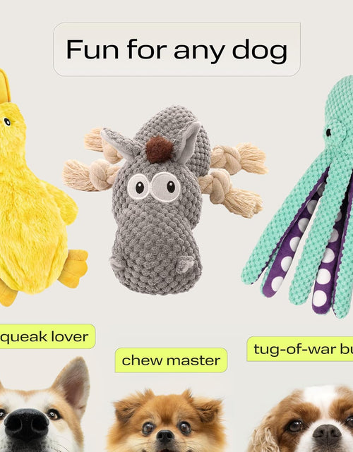 Load image into Gallery viewer, Dog Gifts Squeaky Stuffed Dog Toy Pack - 3 Dog Chew Toys for Large, Medium, Small Dogs and Puppies- Rope Donkey, Plush Octopus, Crinkle Duck Toy - Pet Supplies Toys for Dogs to Keep Them Busy
