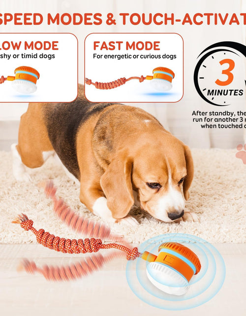 Load image into Gallery viewer, Interactive Dog Ball, Random Path Electric Automatic Moving and Rolling Dog Toy with Rope for Small Medium Large Dogs, Motion-Activated Dog Stimulation Toy for Boredom Relief (Orange-Red)
